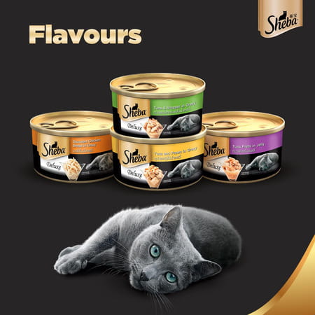Sheba Deluxe Premium Adult (1+ Years) Wet Cat Food | Succulent Chicken Breast In Gravy | 4 X 85 G