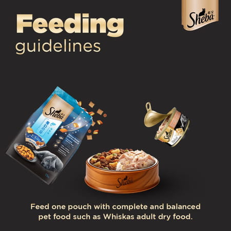 Sheba Deluxe Premium Adult (1+ Years) Wet Cat Food | Succulent Chicken Breast In Gravy | 4 X 85 G