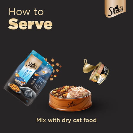 Sheba Deluxe Premium Adult (1+ Years) Wet Cat Food | Succulent Chicken Breast In Gravy | 4 X 85 G