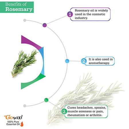 Pack Of 2 Rosemary Essential Oil And Olive Carrier Oil - 100% Pure & Natural Oil For Hair & Skin