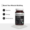 Truebasics T-Boost Testosterone Booster Supplement For Men (60 Tablets)
