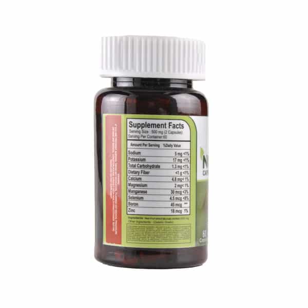 Cipzer Noni Capsule|Prevents Arthiritis|Improves Skin Quality(Pack Of 1)-60 Capsules
