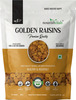 Nourishvitals Healthy Munching Golden Raisins Premium Quality Salted Pumpkin Roasted Seed 200Gm Each