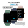 Noise Colorfit Pro 3 Assist Smart Watch (Smoke Grey)
