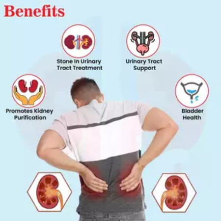 Cipzer Stone Breaker Syrup 100ml | Supports Kidney Health & Urinary Wellness