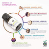 Anveya Bulgarian Lavender Essential Oil 100% Natural 15Ml