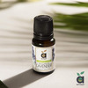Anveya Bulgarian Lavender Essential Oil 100% Natural 15Ml