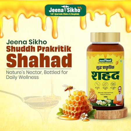Jeena Sikho Shuddh Prakritik Shahad/Honey/Shahad Original/Shahad 500gm