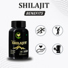 Fij Ayurveda Premium Shilajit/Shilajeet Extract Capsule For Vigor & Vitality - 60 Capsules