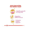 Royal Canin Persian Kitten Food | 2 Kg | Dry Food