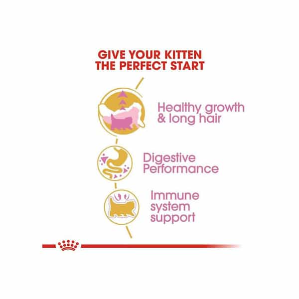Royal Canin Persian Kitten Food | 2 Kg | Dry Food