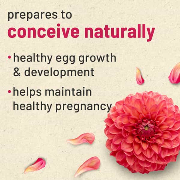Gynovedafertility Supplements For Women.prenatal Multivitamin For Pregnancy.1 Bottle 360 Tablet