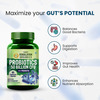 Vlado's Himalayan Organics Probiotics Supplement 50 Billion Cfu - 60 Veg Capsules
