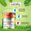 Vlado's Himalayan Organics Plant Based Collagen Builder - 250Gm