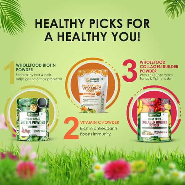 Vlado's Himalayan Organics Plant Based Collagen Builder - 250Gm