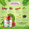 Vlado's Himalayan Organics Plant Based Collagen Builder - 250Gm