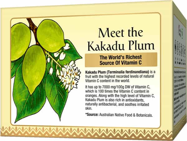 Oriental Botanics Nature's Vitamin C Brightening Face Night Cream - With Kakadu Plum - 50 Gm