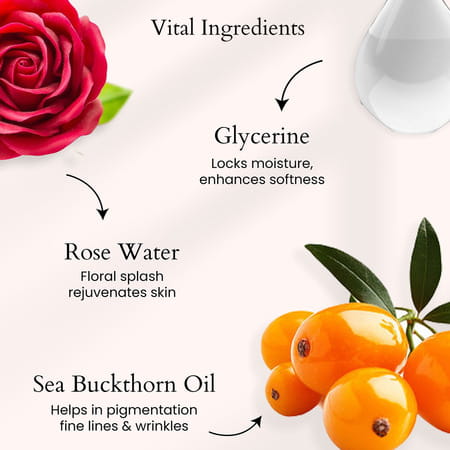 Panash Retinol Face Serum 30 Ml