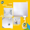 Cif Bathroom Cleaning Spray Easy Dirt Removal - 450Ml