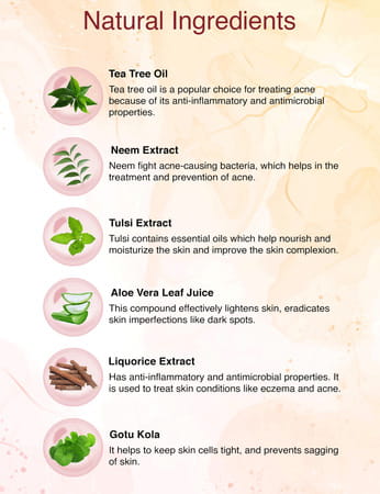 Spantra Acne Control Foaming Face Wash 100ml