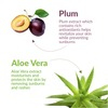 Kara Sunscreen Wipes With Plum And Aloe Vera With Spf 20 - (30 Wipes)