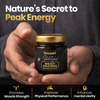 Sheopals Shelatejas Shilajit Gold Resin 20Gm