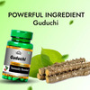 Cipzer Guduchi Capsules | Supports Digestion| Boosts Immunity & Detoxifies Body | 30 Capsules