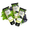 Charcoal & Mint Face Wash 100 G Pack Of 3