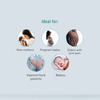 Peebuddy Peri Bottle For Postpartum Care - 1 Bottle