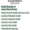 Dabur Jamun Neem Karela Juice - 1 Litre