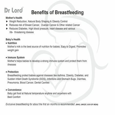 Dr Lord Handheld Portable Electic Breast Pump With Carry Bag