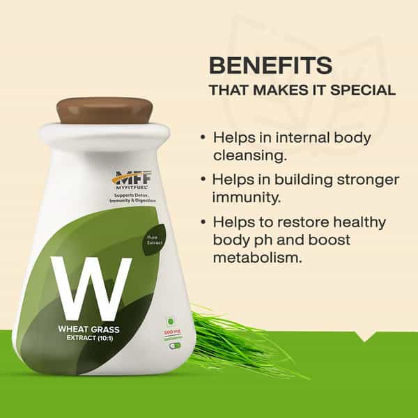 Myfitfuel Wheat Grass Extract (10:1 | 500Mg)- 90 Capsules