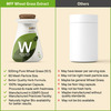 Myfitfuel Wheat Grass Extract (10:1 | 500Mg)- 90 Capsules