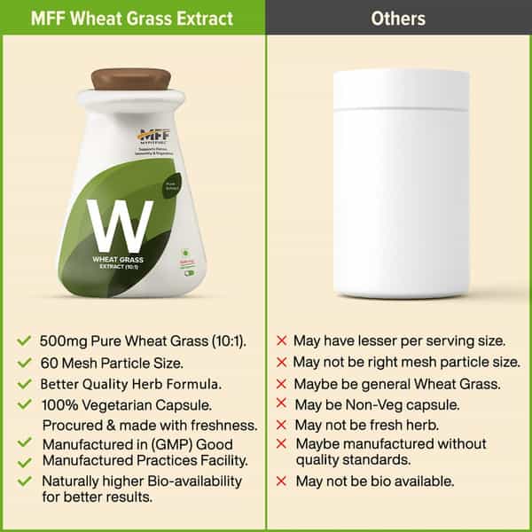 Myfitfuel Wheat Grass Extract (10:1 | 500Mg)- 90 Capsules