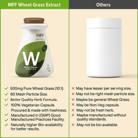 Myfitfuel Wheat Grass Extract (10:1 | 500mg)- 90 Capsules