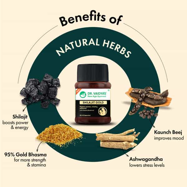 Dr. Vaidya's Shilajit Gold -30 Capsules - Pack Of 3