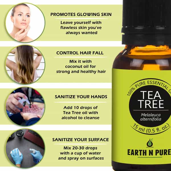 Earth N Pure Rose & Tea Tree Essential Oils Pack Of 2 (15 Ml Each)More (30 Ml)