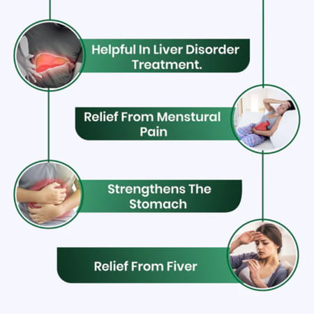 Cipzer Arq Brinjasif 500ml | Supports Digestion & Liver Wellness (Pack Of 1)