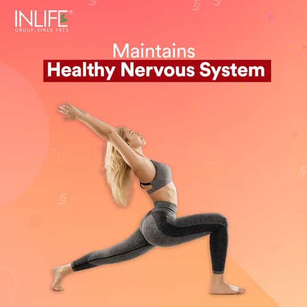 Inlife Vitamin B12 With Alpha Lipoic Acid | Folic Acid | Inositol | B1 | B5 & B6 - 120 Tablets