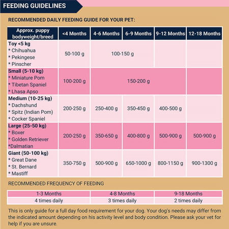 Bowlers Nutrimax Puppy Dry Dog Food | Chicken & Milk |20 Kg | Smooth Digestion & Healthy Coat