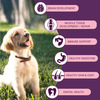 Bowlers Nutrimax Puppy Dry Dog Food | Chicken & Milk |20 Kg | Smooth Digestion & Healthy Coat