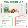 Jeena Sikho Punanavadi Mandur | Ayurvedic Remedy For Body Fatigue | Weakness | Boosts |60 Tablets