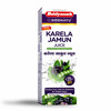 Baidyanath Asli Ayurved Karela Jamun Juice 1 Litre No Added Sugar Healthy Blood Sugar Management