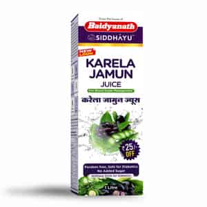 Baidyanath Asli Ayurved Karela Jamun Juice 1 Litre No Added Sugar Healthy Blood Sugar Management