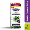 Baidyanath Asli Ayurved Karela Jamun Juice 1 Litre No Added Sugar Healthy Blood Sugar Management