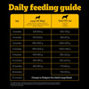 Pedigree Pro Puppy Large Breed | 10 Kg Dry Dog Food | Vet Trusted Brand (3-18 Months)