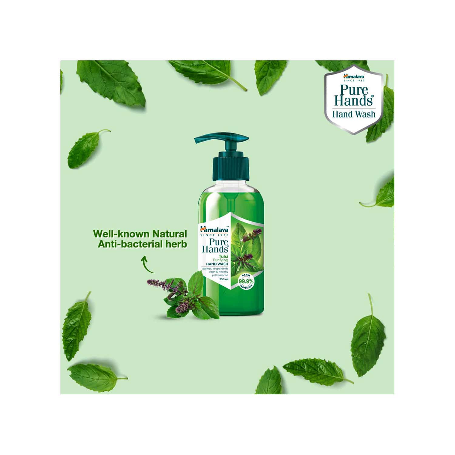 Buy Himalaya Tulsi Purifying Hand Wash 250ml Online & Get Upto 60