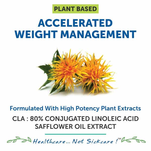 Bliss Welness Cla 1000 Supplement For Lean Muscles | For Men And Women | 60 Vegestarian Capsules 