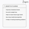 Sangsara Gudmar (1X60) Capsules