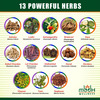Mbdhwellness Miremba Syrup For Pcod & Pcos Regulating Menstrual Cycle & Flow 13 Potent Herbs|3 Pack